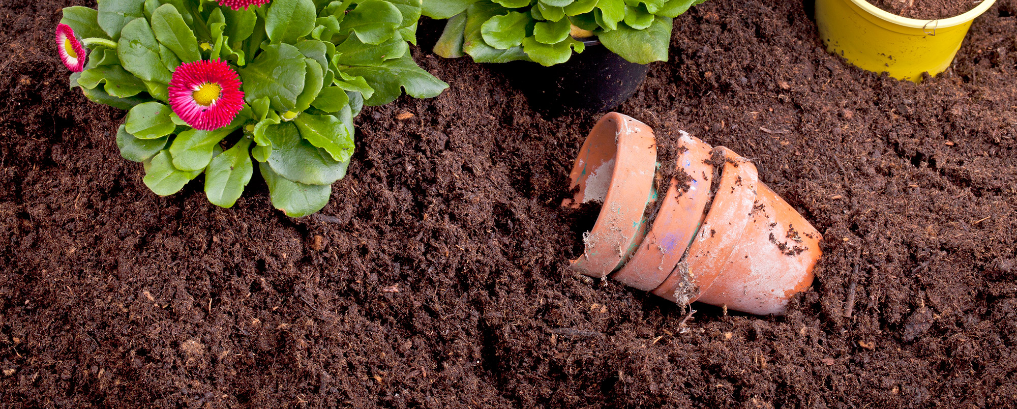 Organic Soils, Composts, and Mulches